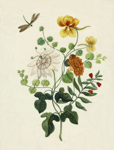Ботаническая композиция. 1780 г.